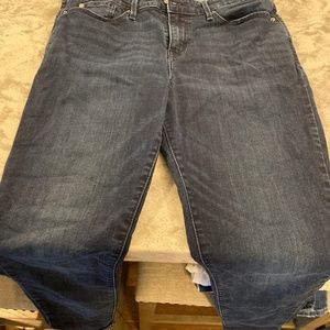 Denizen high rise skinny